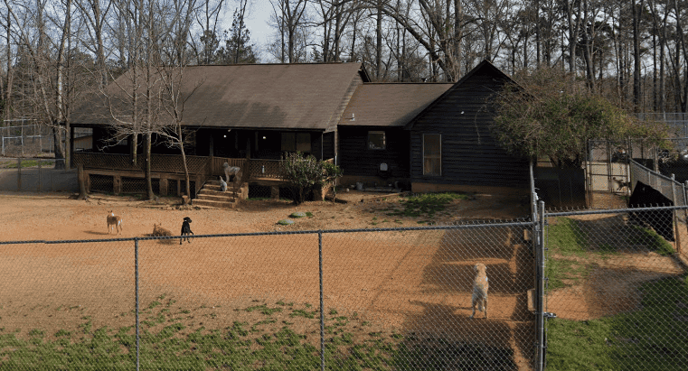 Hot Diggity Doggie Camp